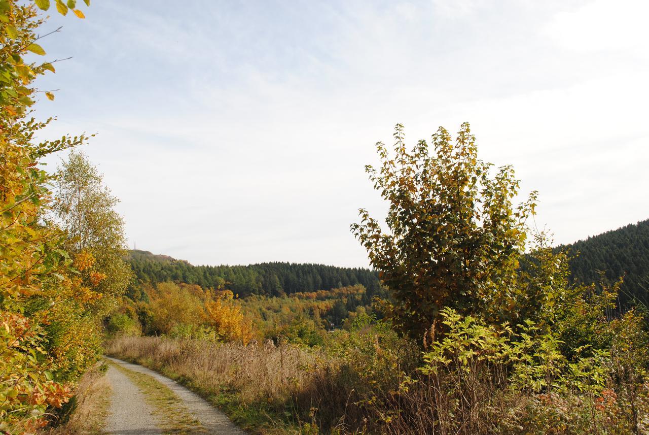 Landgasthof Gruss Brilon Exterior photo